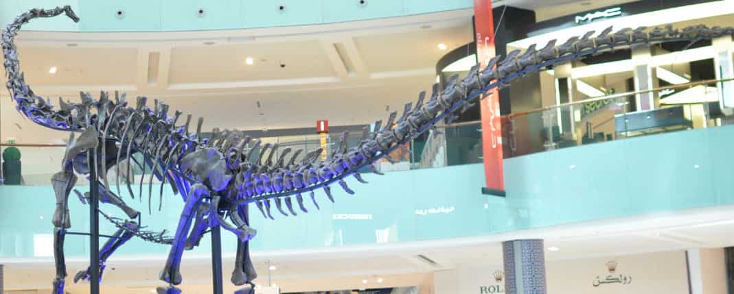 Take your young scientist to Dino in Dubai Mall