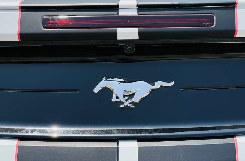 Rent Ford Mustang in Dubai UAE logo