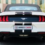 Rent a Ford Mustang in Dubai UAE backside