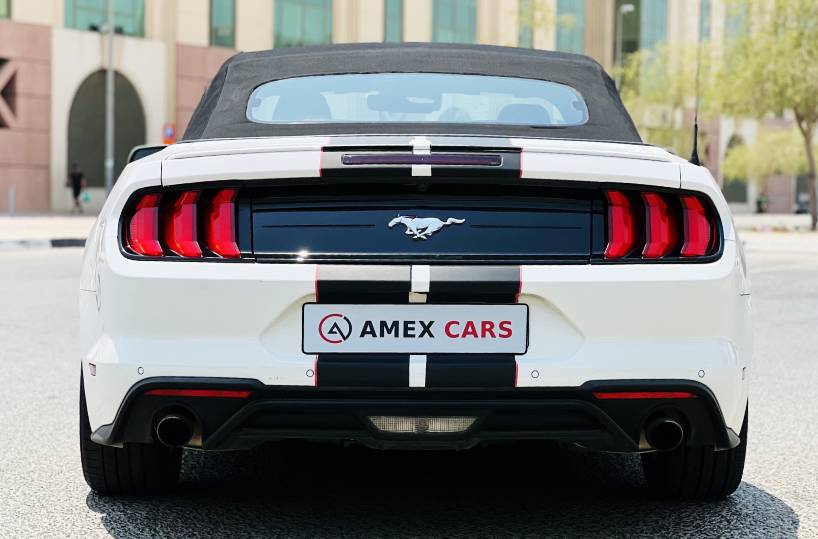 Rent a Ford Mustang in Dubai UAE backside